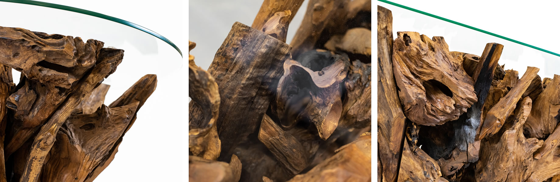 Signature Collection Wild Root